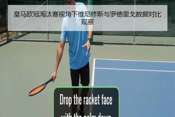 皇马欧冠淘汰赛视角下维尼修斯与罗德里戈数据对比观察